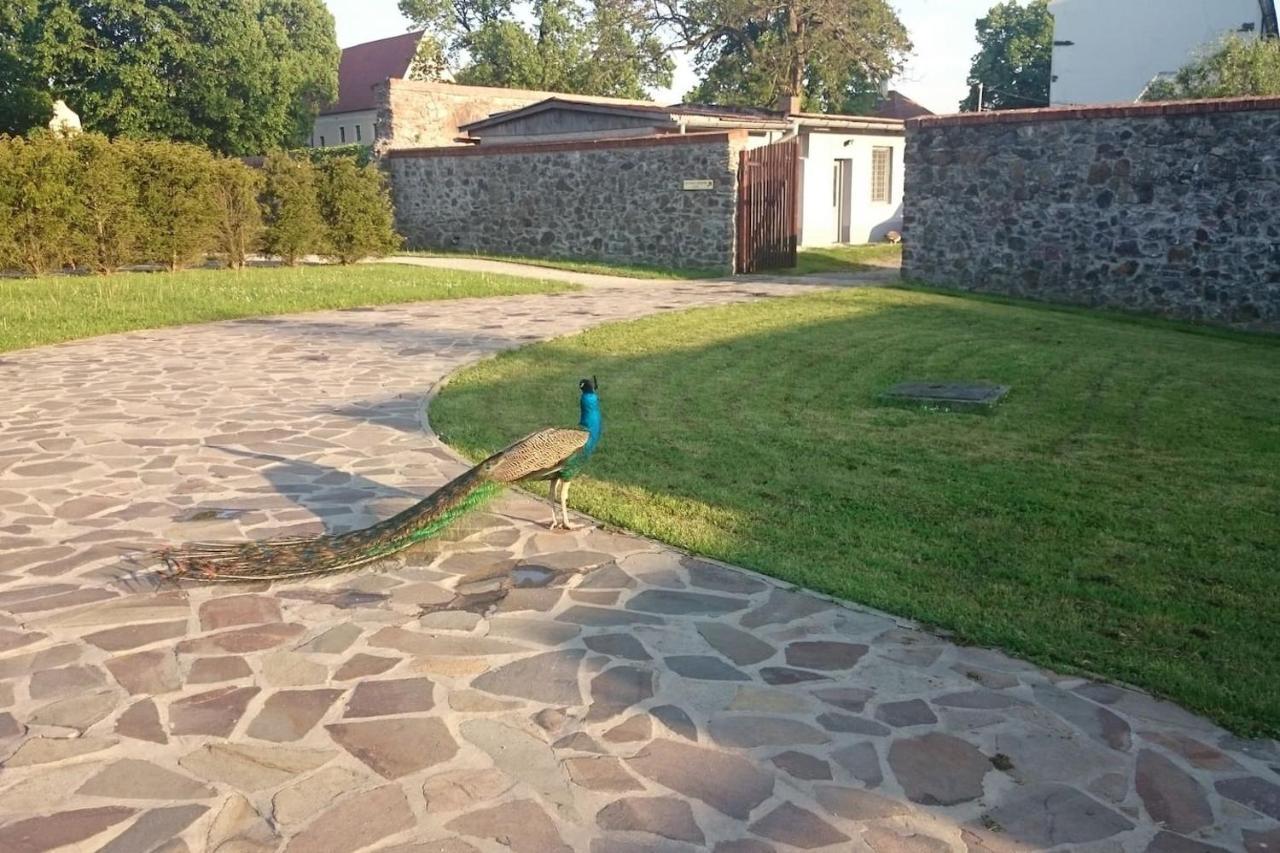 Slovak Cottage Near Bratislava In The Heart Of The Carpathians Modra Exterior photo
